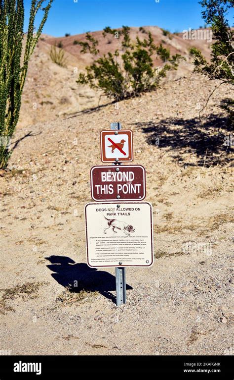 No Dogs Allowed Sign In Borrego Springs California Usa Stock Photo