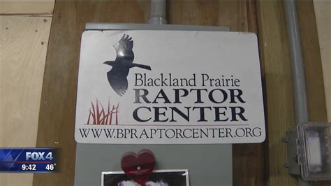 Lone Star Adventure Blackland Prairie Raptor Center