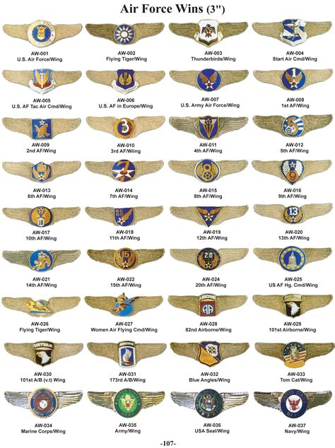United States Air Force Wings Military Ranks Military Insignia