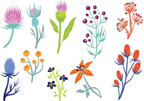 Free Wildflower 2 Vectors 129482 Vector Art At Vecteezy