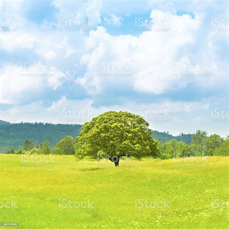 Green Planet Earth Stock Photo Download Image Now Agricultural