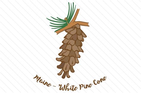 State Flower Maine White Pine Cone Svg Cut File By Creative Fabrica Crafts Creative Fabrica