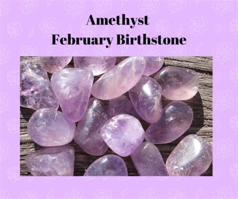 Amethyst February Birthstone Crystal Healing My Crystalaura