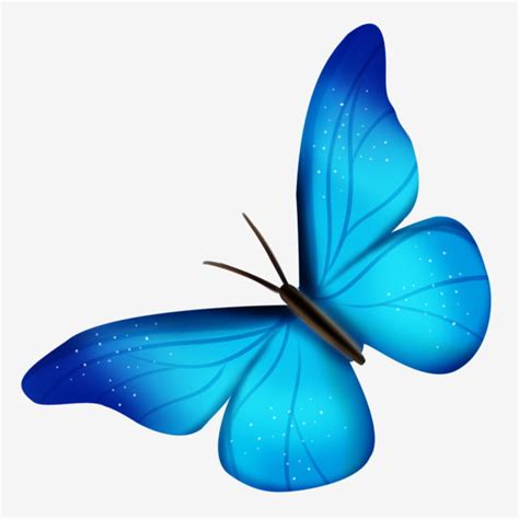 Beautiful Butterfly Clipart Hd Png Blue Beautiful Butterfly