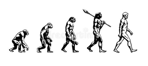 Evolution Of Man Stock Vector Illustration Of 2727java 101420201