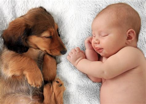 Bambini E Cani Le Foto Più Belle Nostrofiglioit