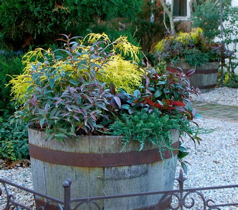 Winter Planters And Containers Winter Planter Container Plants Planters
