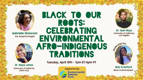 Black To Our Roots Celebrating Environmental Afro Indigenous