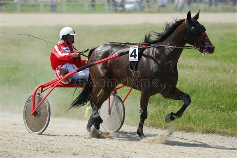 Horse During Harness Race Editorial Image Image Of Competition 58754990