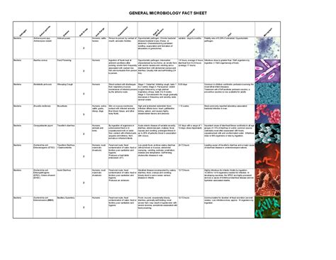 General Microbiology Fact Cheat Sheet Cheat Sheet Microbiology Docsity