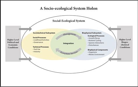 A Systems Theory View Of The Emerging Planetary Socio Ecological System