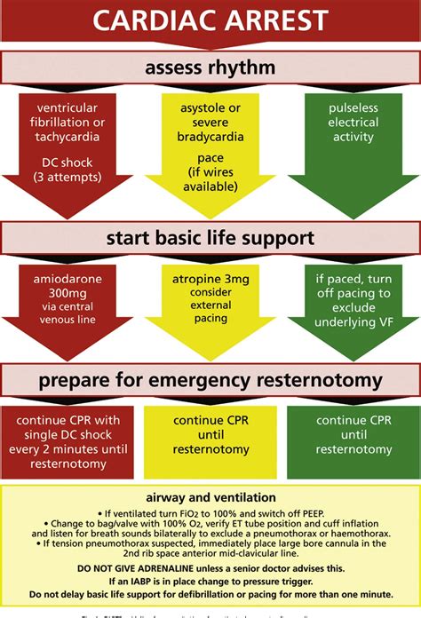 Figure 1 From Guideline For Resuscitation In Cardiac Arrest After