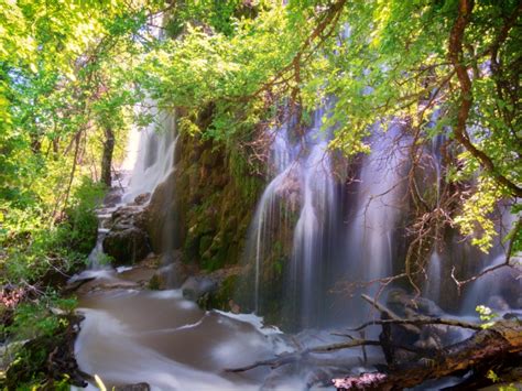 Gorman Falls In Texas Is A Must Visit Natural Wonder With Photos