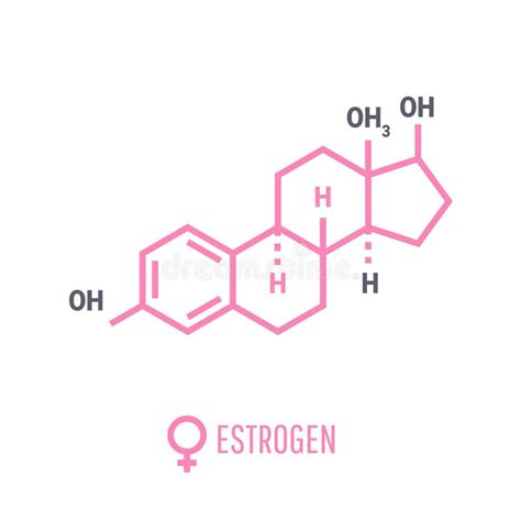 Illustration Of Chemical Formula For Male And Female Hormones Testosterone And Estrogen Stock
