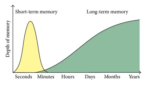 Memory Timeline Timetoast Timelines