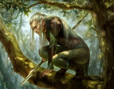 Elf Spearman By Shilesque Elves Fantasy Elf Art Fantasy Creatures