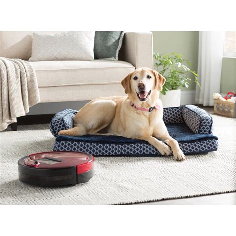 Rated 4.5 out of 5 stars. Archie & Oscar Betsy Comfy Dog Sofa & Reviews | Wayfair
