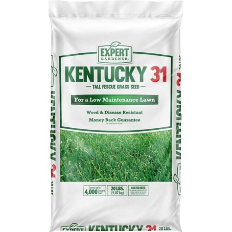 Expert Gardener Kentucky 31 Tall Fescue Ky 31 Grass Seed 20 Pound Bag