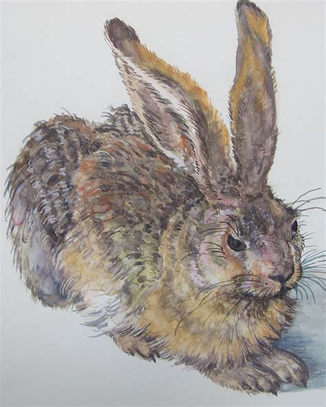 Original Watercolor Painting Young Hare By Dafne Sovenay