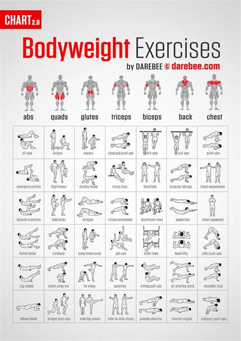 Work Out Every Muscle With This Bodyweight Exercise Chart Lifehacker Australia Bodyweight