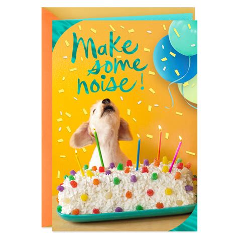 Make Some Noise Birthday Card Greeting Cards Hallmark