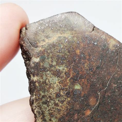 Nwa Polished Chondrite Meteorite 55×5×1 Cm 689 G Catawiki