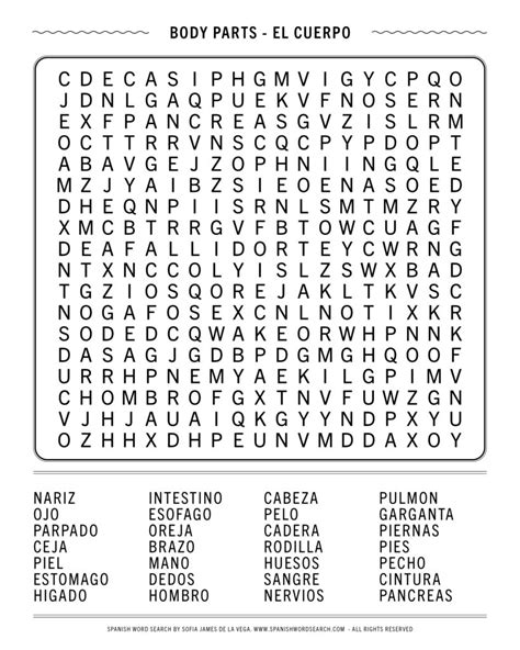 Spanish Word Search Body Parts Can You Find All The Body Parts