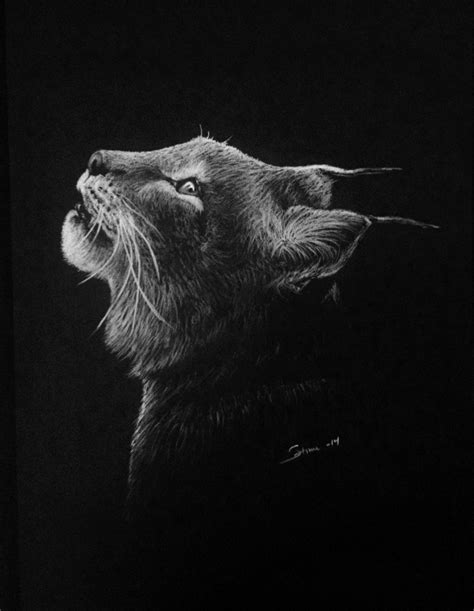 Drawing On Black A3 Paper Картины пастелью Рисунки Животные