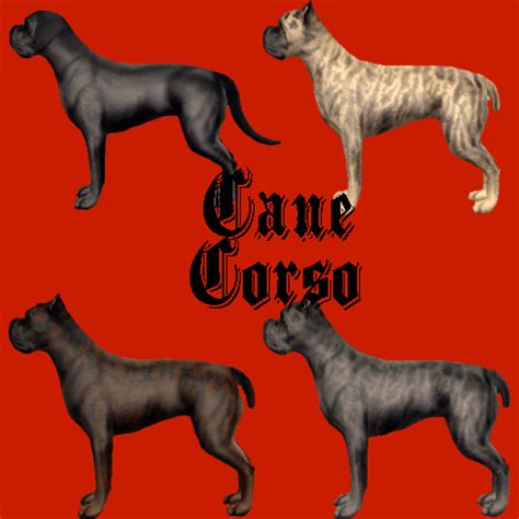 Mod The Sims Cane Corso The Italian Mastiff