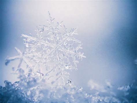 Photographing Snowflakes Om System