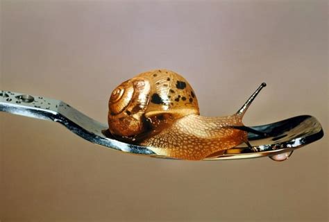 Maybe you would like to learn more about one of these? Artista coreano crea obras tan realistas que fácilmente se ...