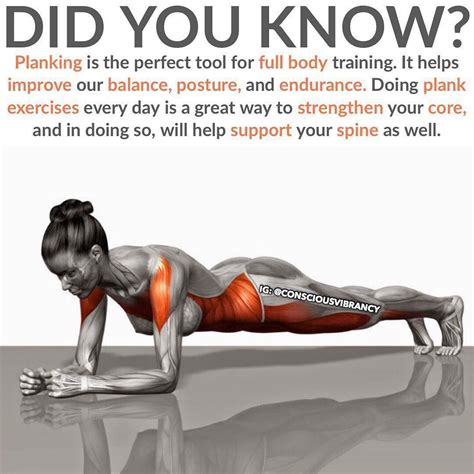 Rock Solid Abs Core With These Plank Variations Gymguider