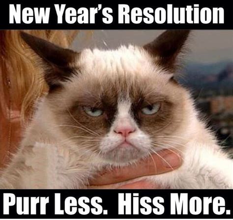 Happy New Year 2020 Memes Funny Jokes For Trolling On