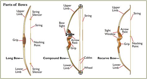 Archery And Bowhunting Basics Types Of Bows