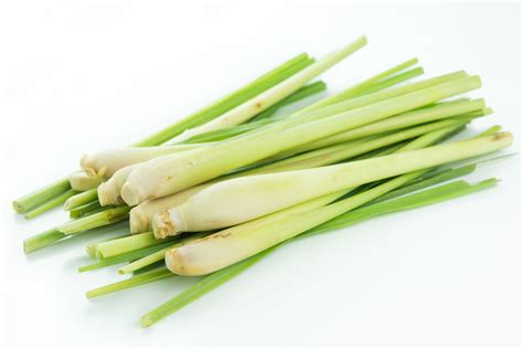 Lemongrass Oil An Oil With Healing Power Healthyliving From Nature