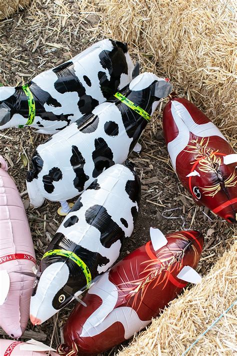 Fraser's backyard barnyard, hughson, california. A Charming Barnyard Birthday Party | Barnyard birthday ...