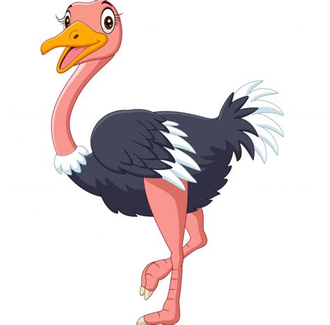 Cute Ostrich Cartoon On White Background Vector Premium