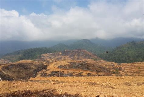 Tahapan yang terganggu akibat kegiatan tersebut adalah. Perkosa alam semulajadi, Sungai Tembeling jadi mangsa ...