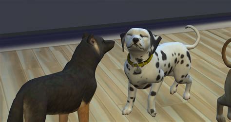100 Puppy Challenge ! *Updated 2/3* - Page 2 — The Sims Forums