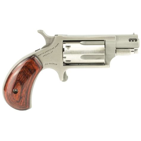 Naa Naa22mscp Mini Revolver Combo 22 Lr22 Mag 5rd 113 Stainless