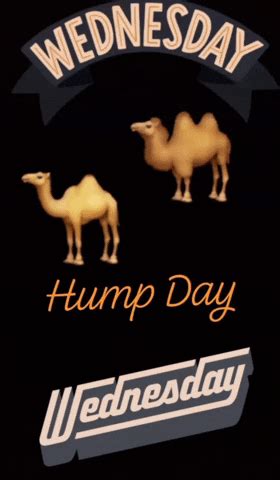Wednesday Hump Day GIFs Get The Best GIF On GIPHY