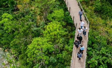 ดื่มด่ำธรรมชาติ สูดโอโซนเต็มๆ ที่ ป่าในกรุง กลางเมืองกรุงเทพ