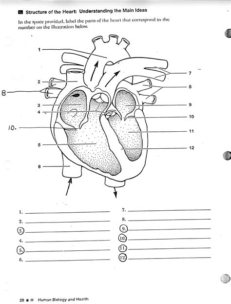 Https://wstravely.com/worksheet/human Heart Parts Worksheet Answers