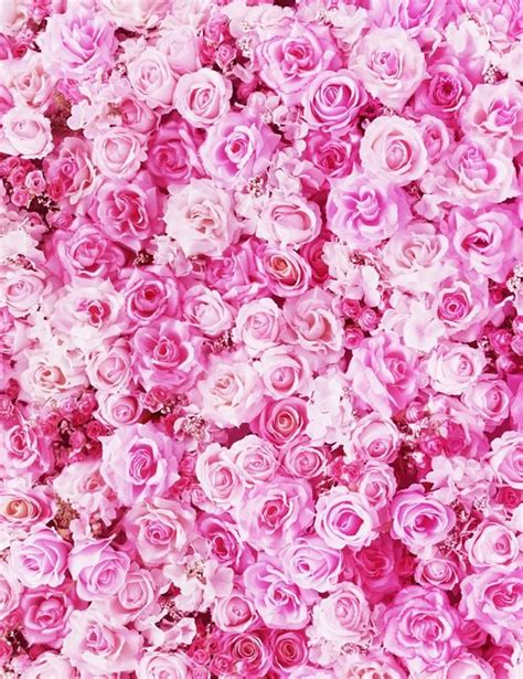 Blooming Pink Rose Flowers Backdrop For Wedding Photography Flower