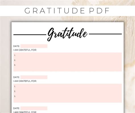 Daily Gratitude Journal Printable Gratitude Journal Pdf Gratitude