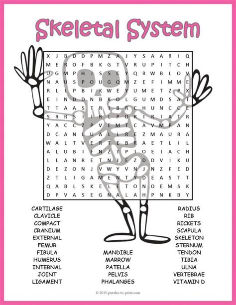 No Prep Skeletal System Activity Human Skeleton Word Word Search