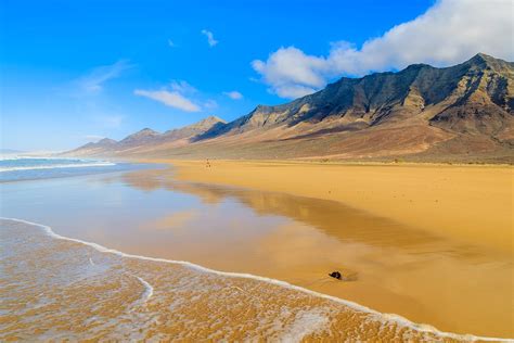 Best Things To Do In Fuerteventura Canary Islands Road Affair