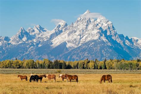 Top 10 Scenic Drives In Wyoming Yourmechanic Advice