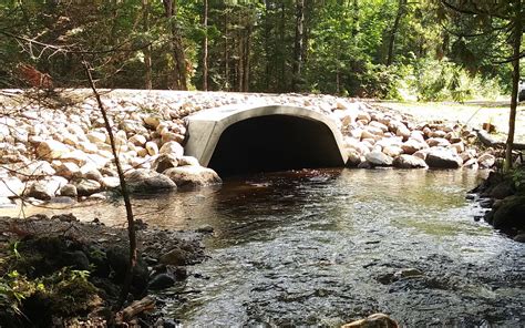 Grassroots Partnerships Key Trout Wins In Wisconsin Trout Unlimited