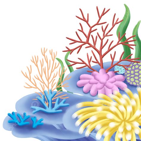 Dibujos Animados Simples De Animales Marinos De Arrecifes De Coral Png